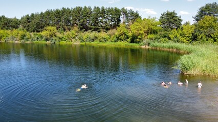 lake in the park