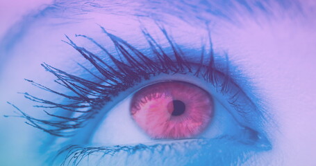 Image of caucasian female eye with business data processing on digital interface in foreground