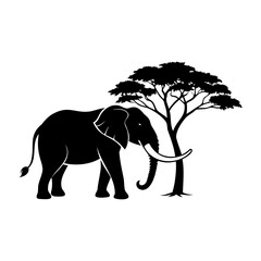 Fototapeta premium Elephant In Nature Silhouette