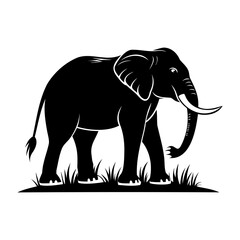 Fototapeta premium Elephant In Nature Silhouette