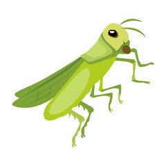mantis, mantodea, stagmomantis, insect, creature, specie, predator, invertebrate, bug, flat, vector, icon, 

