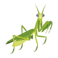 Flat style icon of predator bug 

