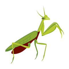 A flat style icon deciding cute stick bug  

