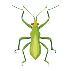 Cute green mantis icon in flat style 

