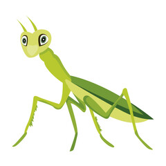 A flat icon of predator insect 

