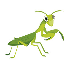 A flat style icon of leaf mantis


