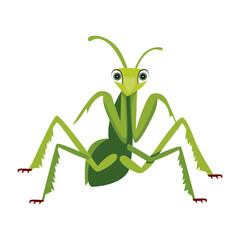 A flat style icon of chinese mantis  

