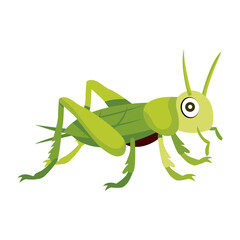 A flat icon showing cute praying bug  

