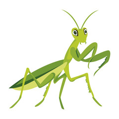 Cute hunter mantis icon in flat style 


