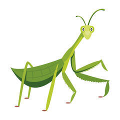 Forest mantis icon designed in flat style 

