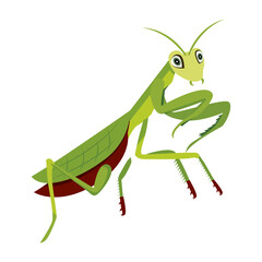 An icon of cute flying mantis in flat style 

