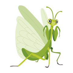 A flat style icon of cute mantis

