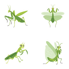WebBundle of Mantis Insect Flat Icons 

