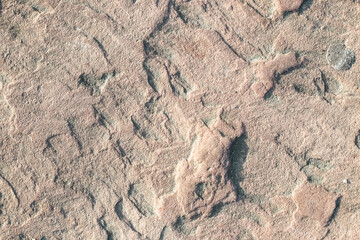 The texture of the gray plaster is textured close-up