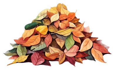 Fototapeta premium PNG Pile of autumn leaves plant leaf white background.