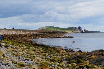 Obraz premium View of the Howth Harbor coast 