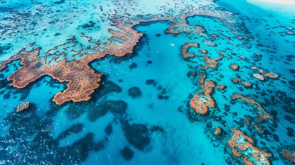 Aerial View of Colorful Coral Reefs at the Great Barrier Reef