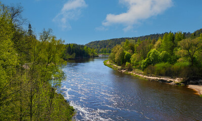 A river with a clear blue water and trees on both sides