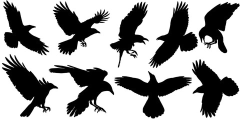 set of crow silhouettes in various styles