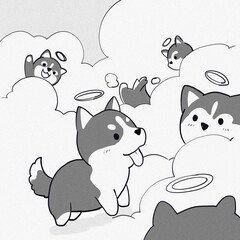 Heaven of Siberian husky