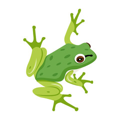 Jungle frog icon in flat style 

