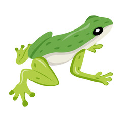 A flat style icon of anuran 

