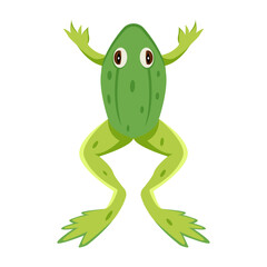 Cute toad icon in flat style 

