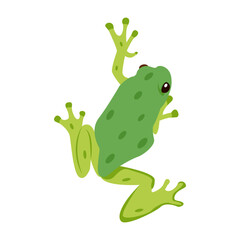 Garden frog icon in flat style

