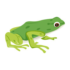A flat vector icon of frog character 

