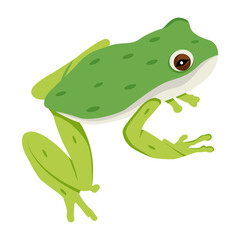 A flat style icon of cute amphibian 

