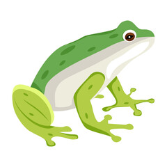 A flat icon of frog 

