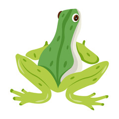 A flat style icon of amphibian 

