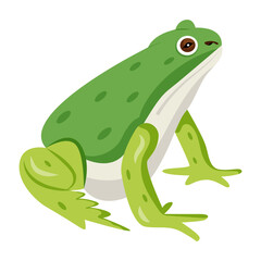 Ranidae vector icon in flat style 

