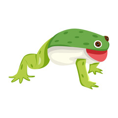 A flat vector icon of frog mascot 

