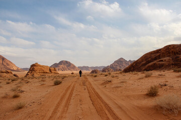 Naklejka premium Wadi Rum Protected Area, Jordan