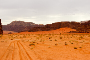 Fototapeta premium Wadi Rum Protected Area, Jordan