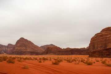 Fototapeta premium Wadi Rum Protected Area, Jordan