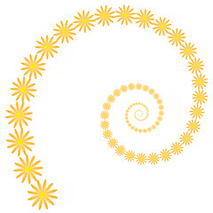 curve with spiral made of orange flowers over white