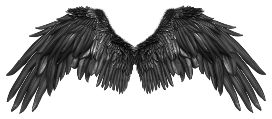Black angel wings isolated on transparent background