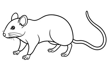 Eastern Woodrat mouse walking icon line art vector illustration 