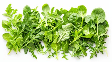 Fototapeta premium Fresh Green Vegetables