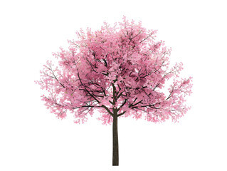 Obraz premium pink tree isolated on white background,generative ai