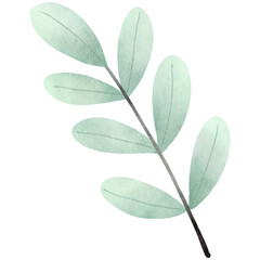 Watercolor fall leaves-14