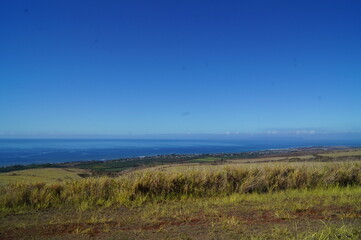 a view of the coast over a grassy field