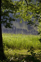 tranquil summer afternoon by the lakeside
