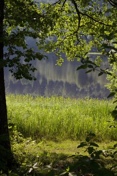 tranquil summer afternoon by the lakeside
