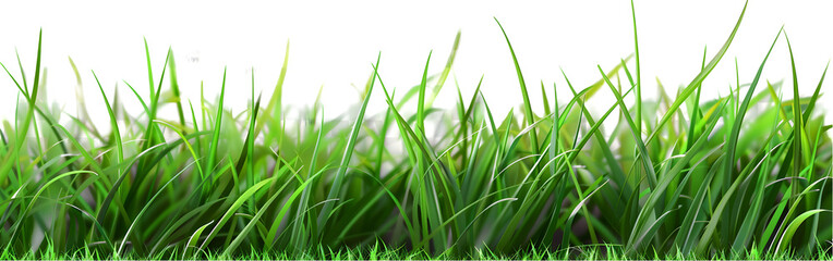 Fototapeta premium realistic grass isolated on transparent background,generative ai