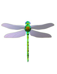 3d render metal dragonfly,