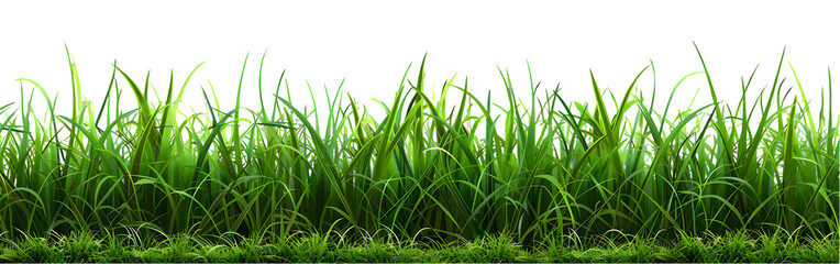 Obraz premium realistic grass isolated on transparent background,generative ai