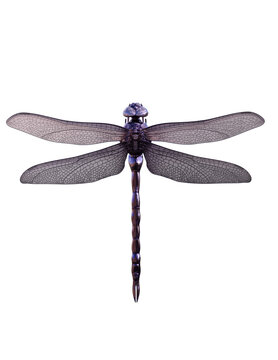 3d render metal dragonfly